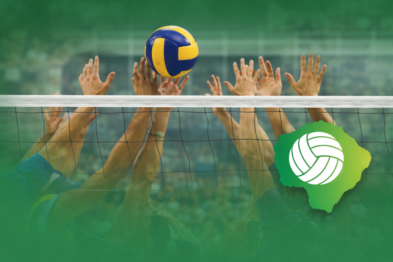 FVMS - Federação de Voleibol de Mato Grosso do Sul